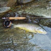 PESCA SPORTIVA